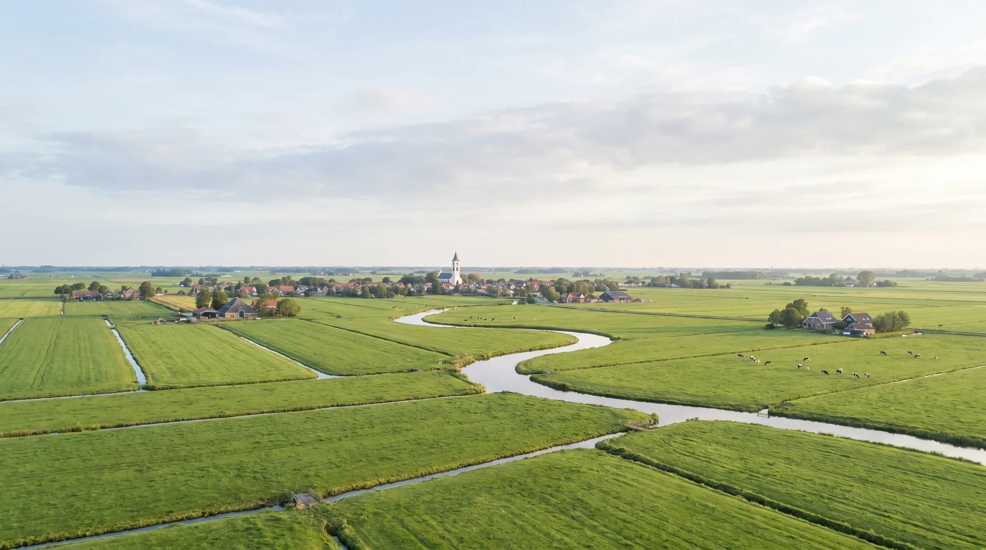 Friese polder, de regio waar Growth AI werkt